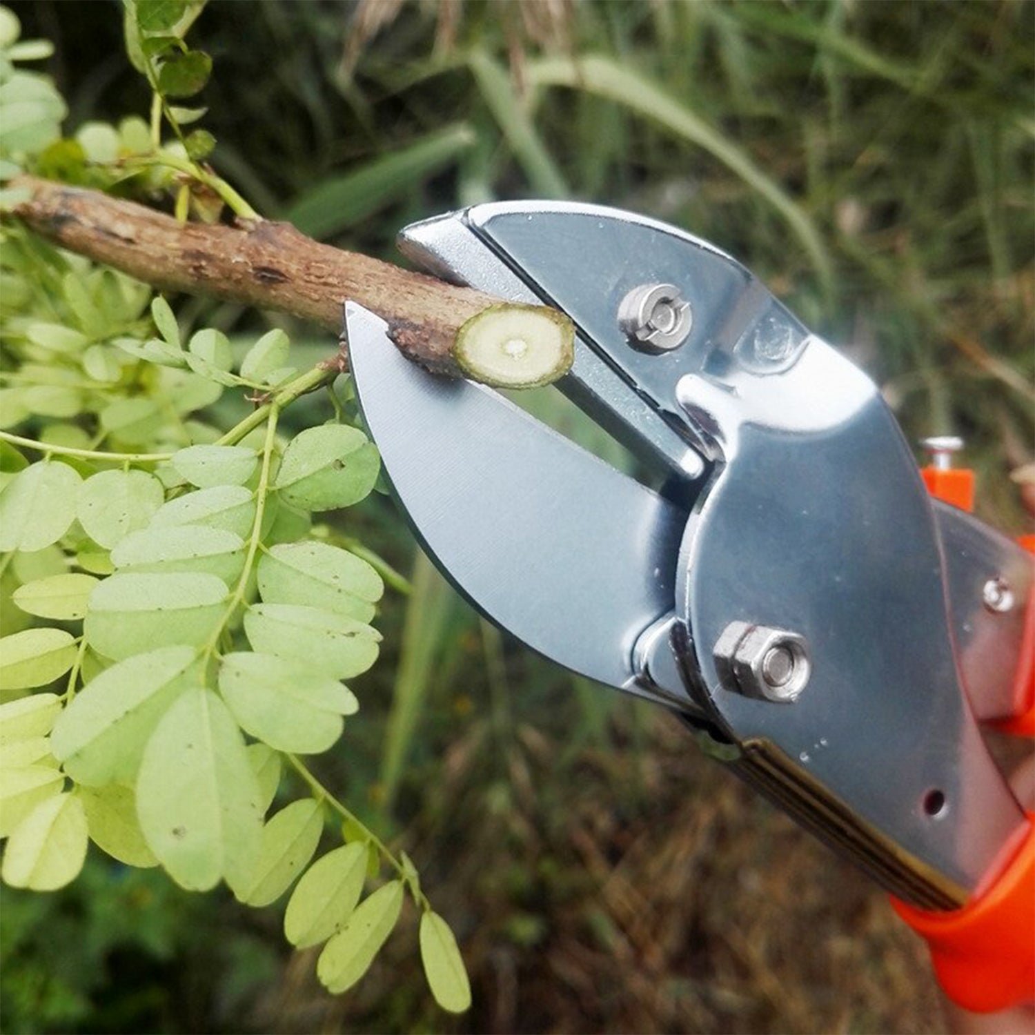 Garden Scissors – 18cm Sharp Blade, Comfortable Handle | Indo Glow