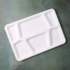 Plastic Multi-Compartment Meal Serving Tray – 6 Sections for Neat Portioning