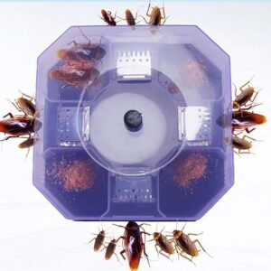 Cockroach Trap Box – Reusable Pest Killer for Home