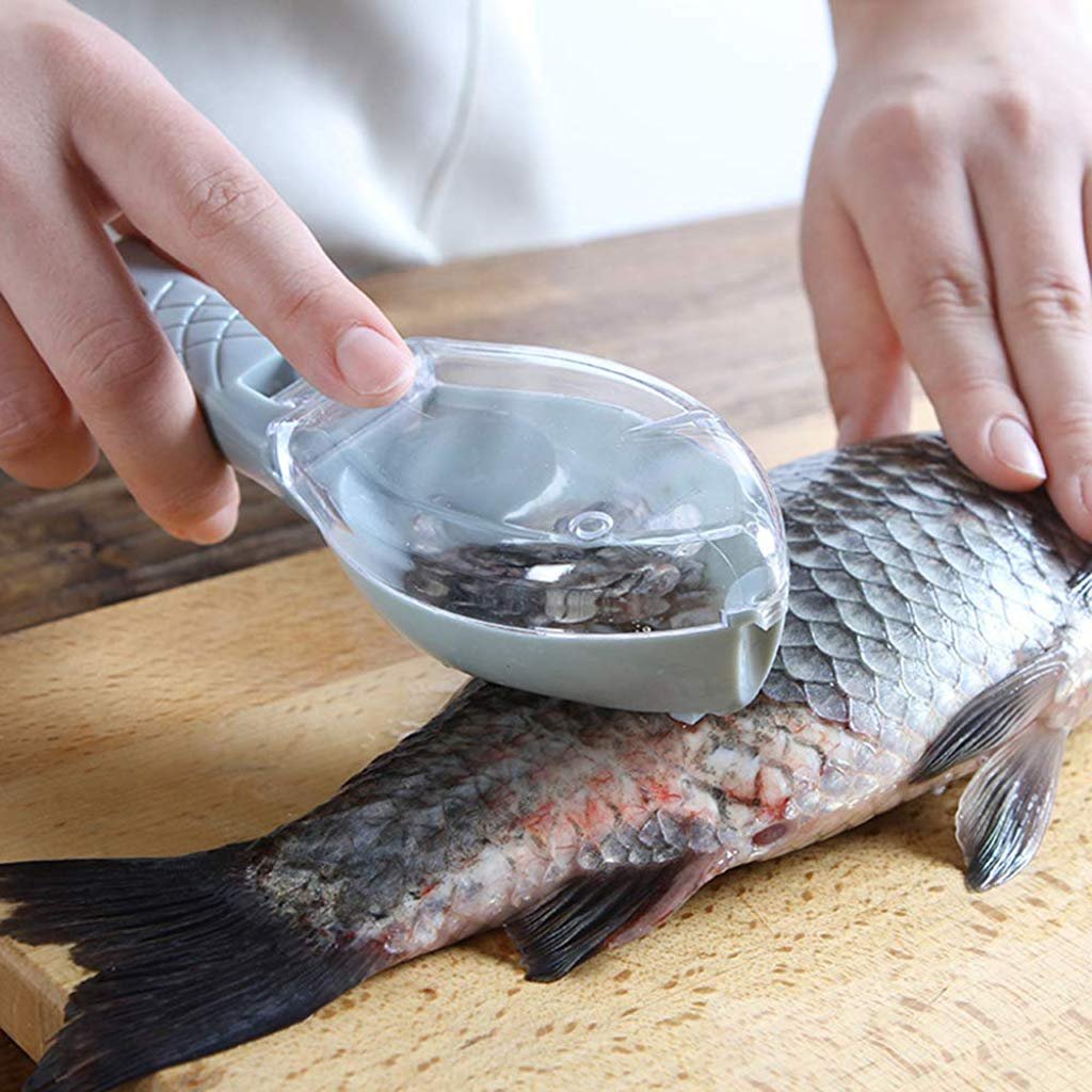 Fish Scale Scraper – Easy Fish Cleaning Tool | Quickslice