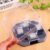 Cockroach Trap Box – Reusable Pest Killer for Home
