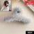 Plush Hair Claw Clip – Soft, Non-Slip & Stylish | Calm & Curl