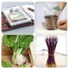 Multicolor Rubber Bands – Durable for Office & Home | VoltDesk