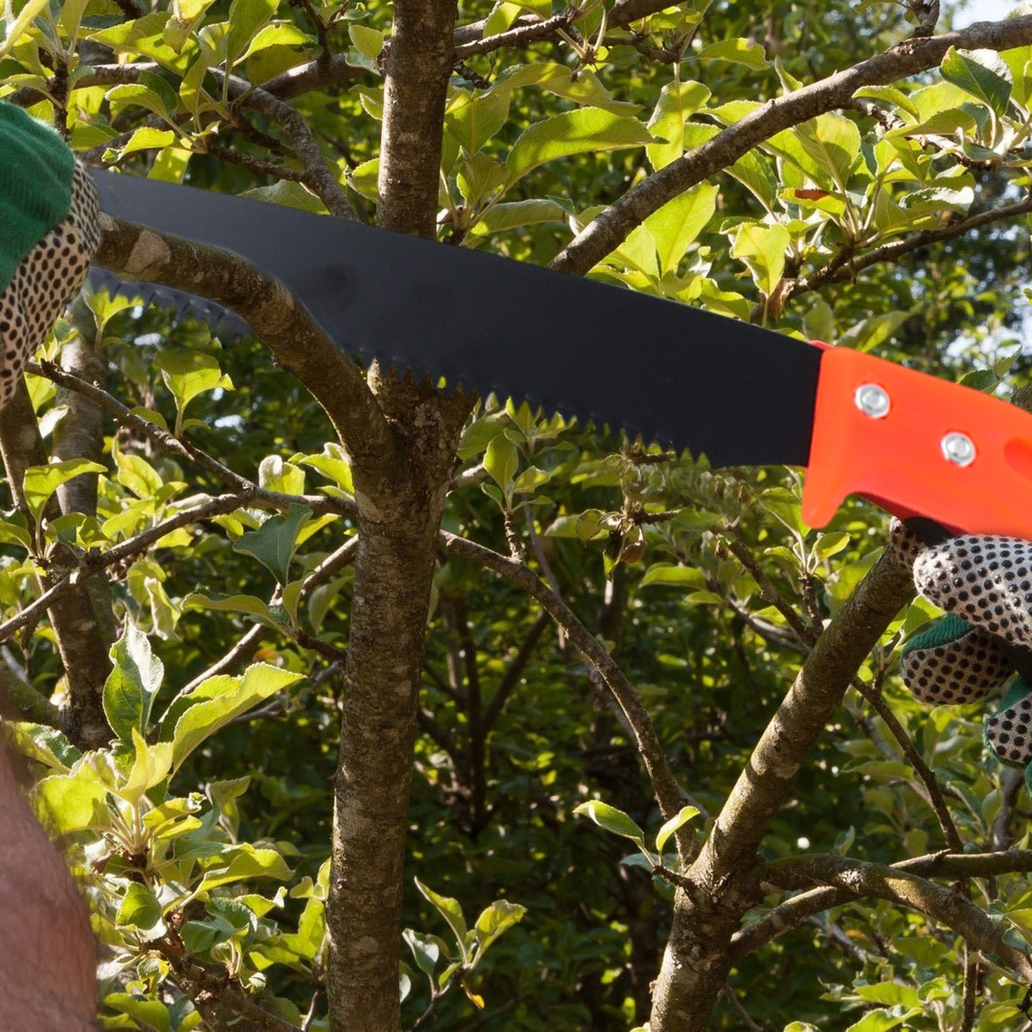 6_d73605cb-9e31-4ca1-a3ad-8282983776fb Hand Pruning Saw – Efficient Tree Branch Cutter | Grow Garden Tools