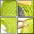 Corner Sink Strainer – Kitchen Waste & Sponge Holder | ShineCrest