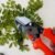 Garden Scissors – 18cm Sharp Blade, Comfortable Handle | Indo Glow