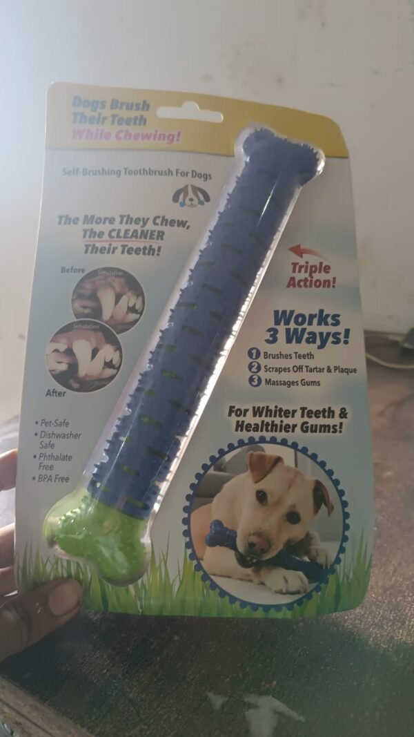 Dog Toothbrush – Dental Chew Stick for Clean Teeth | Boardoria