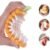 Vegetable Scrubbing Brush – Non-Toxic Carrot Design | Claranza