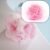 Bath Loofah Sponge – 6 Pcs Exfoliating Body Scrubber | VelvaBloom