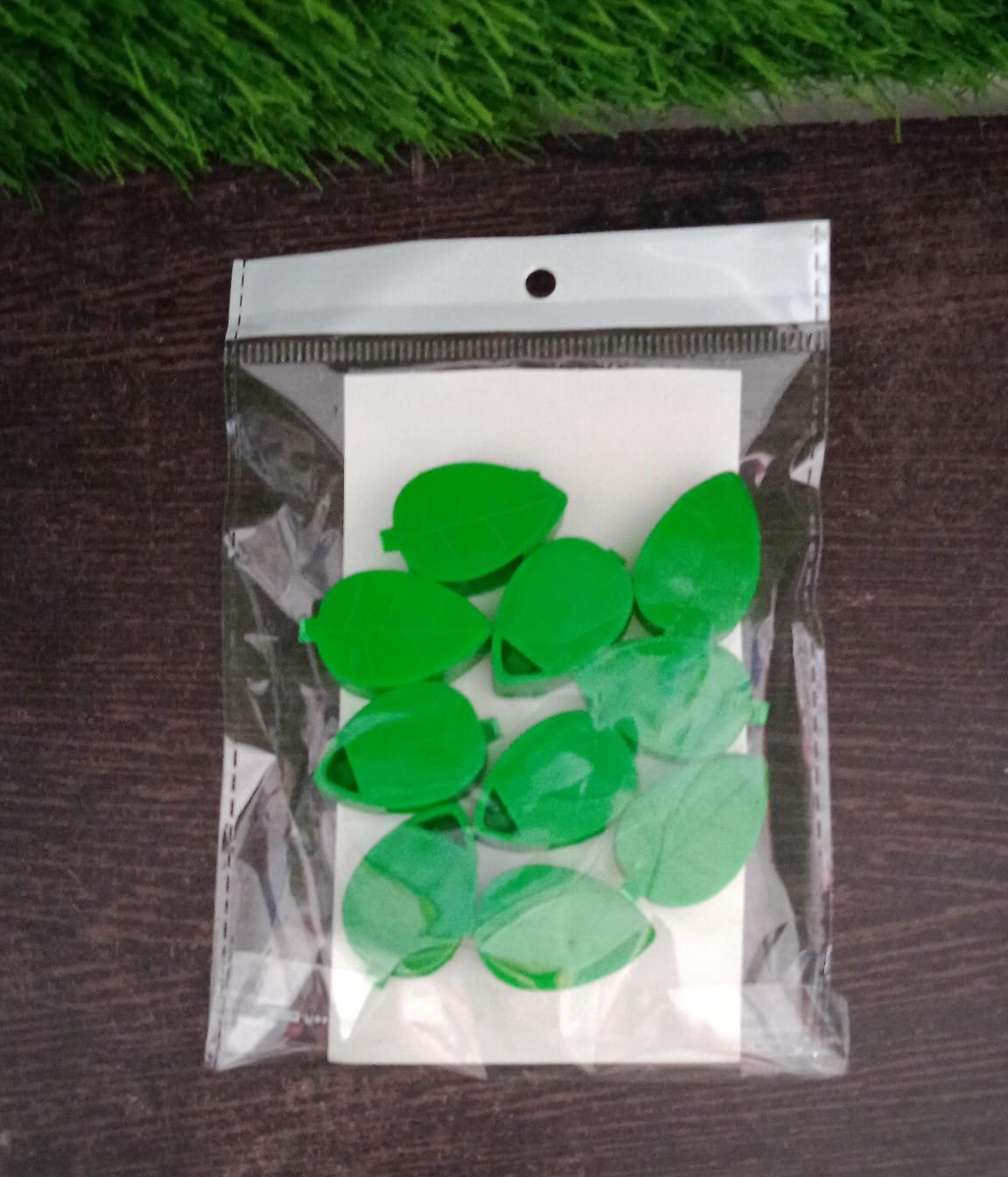 Plant Climbing Wall Clips – Self-Adhesive Invisible Support | Indo Glow