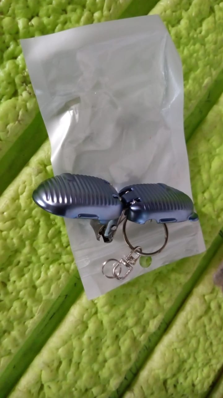 Keychain Nail Clipper – Portable with Built-in File | AuriGlam