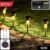 Solar Lawn Lamp Set – Eco-Friendly Stainless Steel Outdoor Lights