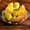 Heavy Duty Stainless Steel Apple Cutter & Slicer – Effortless & Precise