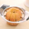 Heavy Duty Stainless Steel Apple Cutter & Slicer – Effortless & Precise