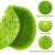 Green Silicone Bath Massage Cushion – Suction Cup Foot Scrubber