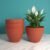Plastic Flower Pots – Durable Round Planters for Home & Garden | Plant Edge
