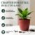 Plastic Flower Pots – Durable Round Planters for Home & Garden | Plant Edge