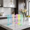 Reusable Plastic Champagne Flutes Wine Glasses Set Assorted Colours (6 Pc Set)