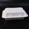 Bagasse Clamshell Food Box – Eco-Friendly 9x6 Inch Disposable Set