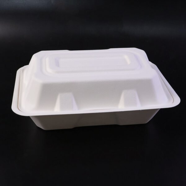 Bagasse Clamshell Food Box – Eco-Friendly 9x6 Inch Disposable Set