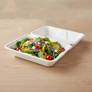 Bagasse Clamshell Food Box – Eco-Friendly 9x6 Inch Disposable Set