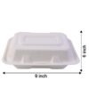 Bagasse Clamshell Food Box – Eco-Friendly 9x6 Inch Disposable Set