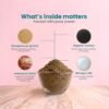 Organic Cow Dung Powder 800g, Natural Soil Improver and Manure for Plants (1 Pc)