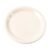 Plastic Round Dinner Plate – 19 cm Durable & Lightweight