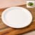 Plastic Round Dinner Plate – 19 cm Durable & Lightweight
