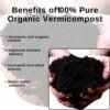 Organic Coco Peat Powder – Natural Soil Conditioner for Plants