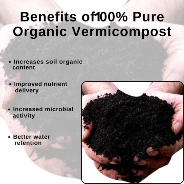 Organic Coco Peat Powder – Natural Soil Conditioner for Plants