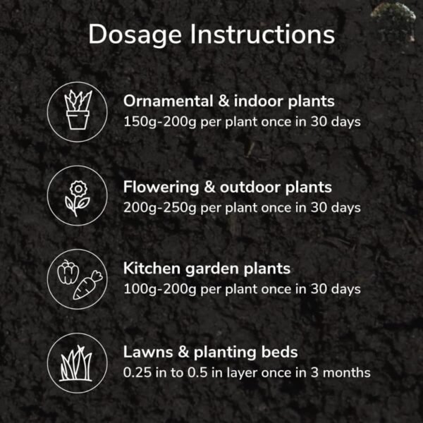 Organic Coco Peat Powder – Natural Soil Conditioner for Plants