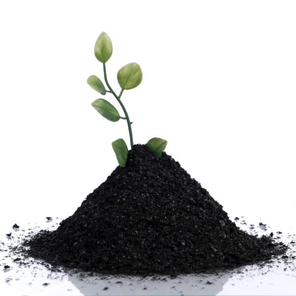 Organic Coco Peat Powder – Natural Soil Conditioner for Plants