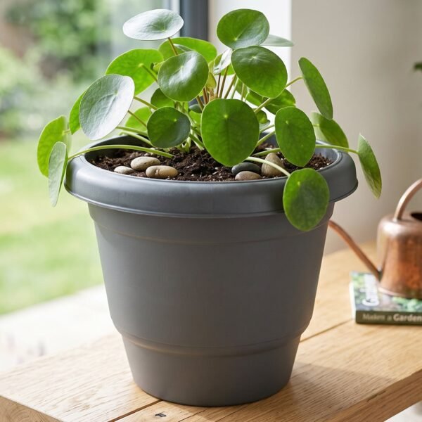 Flower-Pot-4 Plastic Round Flower Pot Planter Set, Durable Gardening Pots with Rim (6 Pcs Set)