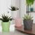 Diamond Design Plastic Flower Pot Set – Stylish 5-Piece Planters with Drain Tray