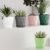 Diamond Design Plastic Flower Pot Set – Stylish 5-Piece Planters with Drain Tray