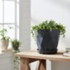 Diamond Design Plastic Flower Pot Set – Stylish 5-Piece Planters with Drain Tray