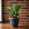Plastic Flower Pot Planter Set – Ideal for Indoor & Outdoor Gardens