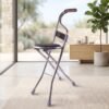 Folding Walking Stick with Seat and Backrest 4 Leg Cane Stool Chair (1 Pc)
