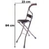 Folding Walking Stick with Seat and Backrest 4 Leg Cane Stool Chair (1 Pc)
