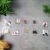 Fruit Seeds Combo Pack – 10 Quality Varieties for Home Gardening