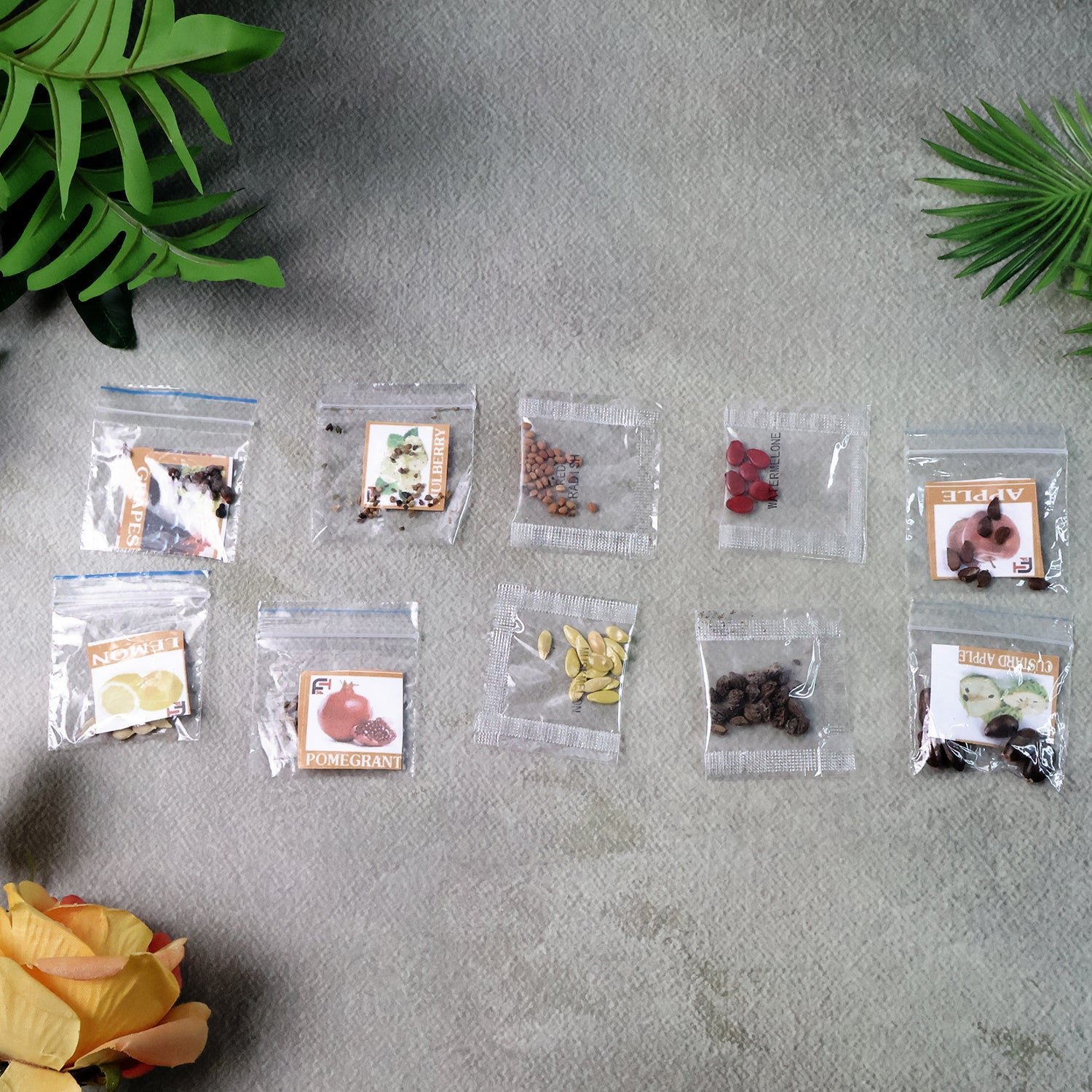 Fruit Seeds Combo Pack – 10 Quality Varieties for Home Gardening