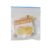 Fruit Seeds Combo Pack – 10 Quality Varieties for Home Gardening