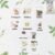 Fruit Seeds Combo Pack – 10 Quality Varieties for Home Gardening