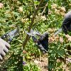 5 in 1 Gardening Tool Kit – Complete Garden Cutting Set for Gardeners
