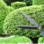 Garden Scissor – Ergonomic Pruning & Trimming Tool | Indo Glow