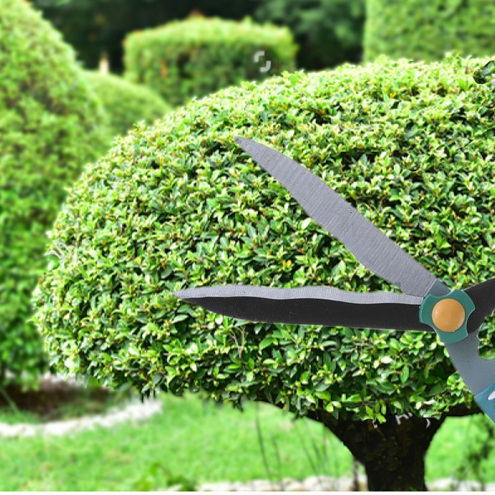 Garden Scissor – Ergonomic Pruning & Trimming Tool | Indo Glow