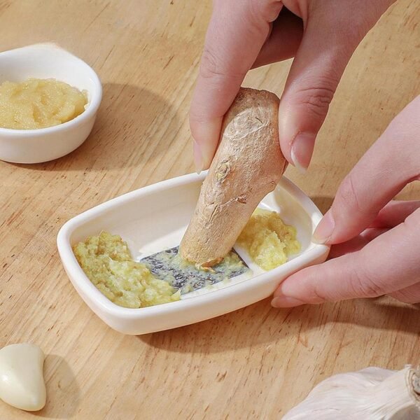 Multipurpose Garlic Ginger Grinding Plate – Manual Stainless Steel Tool