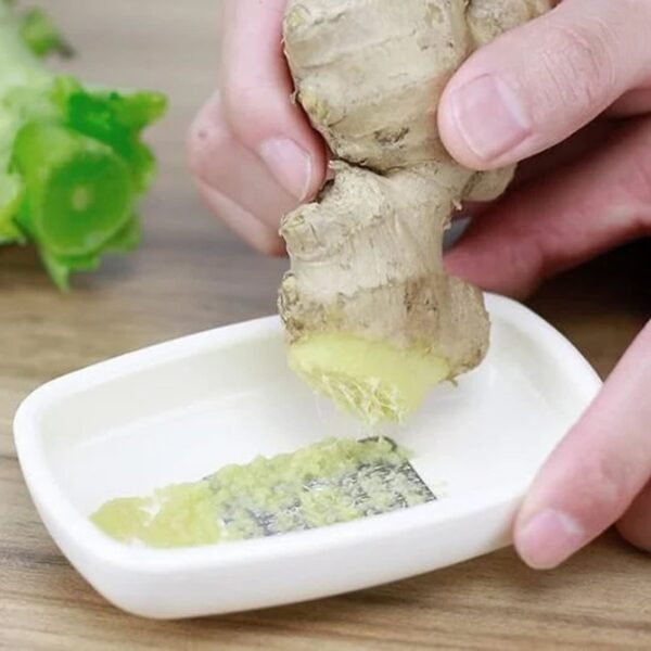 Multipurpose Garlic Ginger Grinding Plate – Manual Stainless Steel Tool
