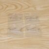 Adhesive Wall Hooks – Strong Hold, No Drilling Needed for Easy Organisation